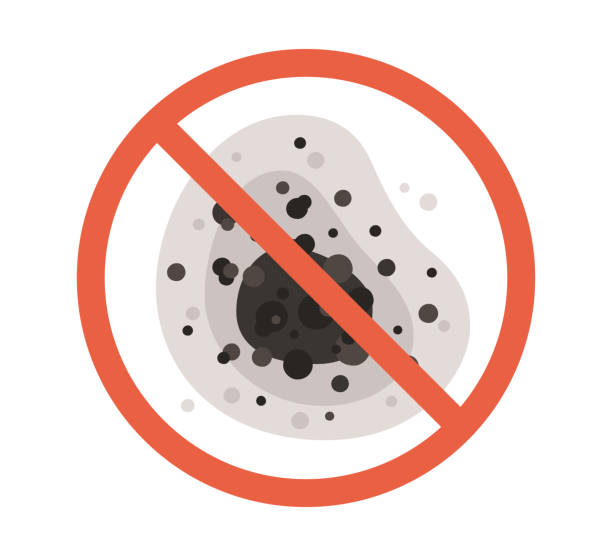 Mold Remediation for Rental Properties in Buttonwillow, CA