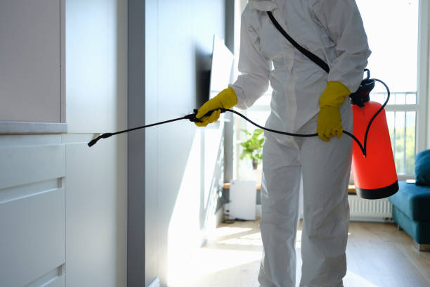 Best Water Damage & Mold Remediation  in Buttonwillow, CA