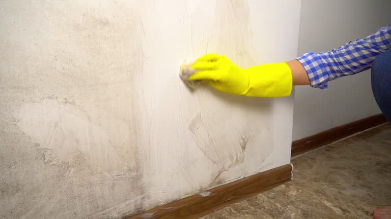 Best Industrial Mold Remediation  in Buttonwillow, CA