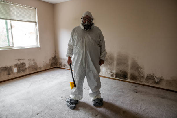 Best Commercial Mold Inspection  in Buttonwillow, CA