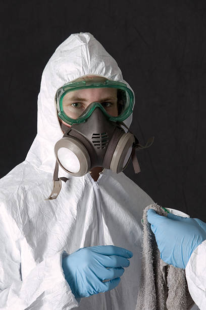 Best Attic Mold Removal  in Buttonwillow, CA